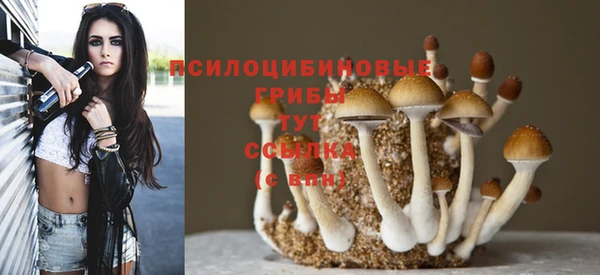 apvp Аркадак