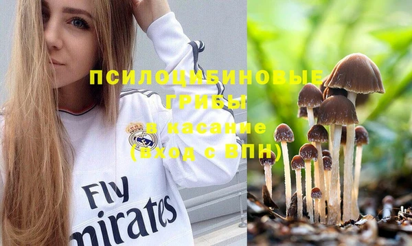 ГАЛЛЮЦИНОГЕННЫЕ ГРИБЫ Арсеньев