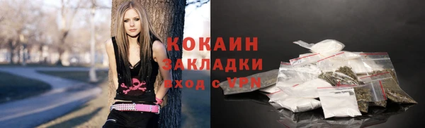 ГАЛЛЮЦИНОГЕННЫЕ ГРИБЫ Арсеньев