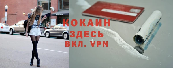 дмт Осташков